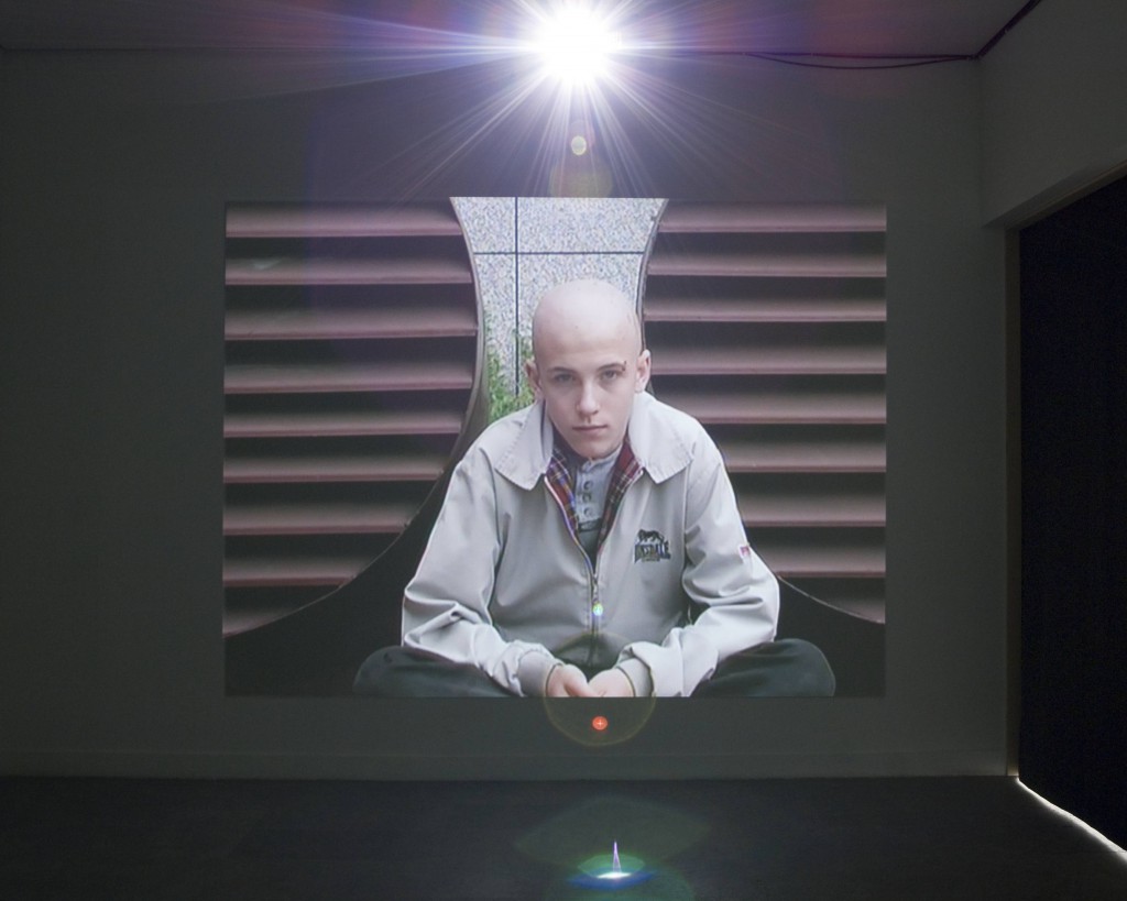 Martin Brand, Pit Bull Germany, Westfälischer Kunstverein Münster 2006